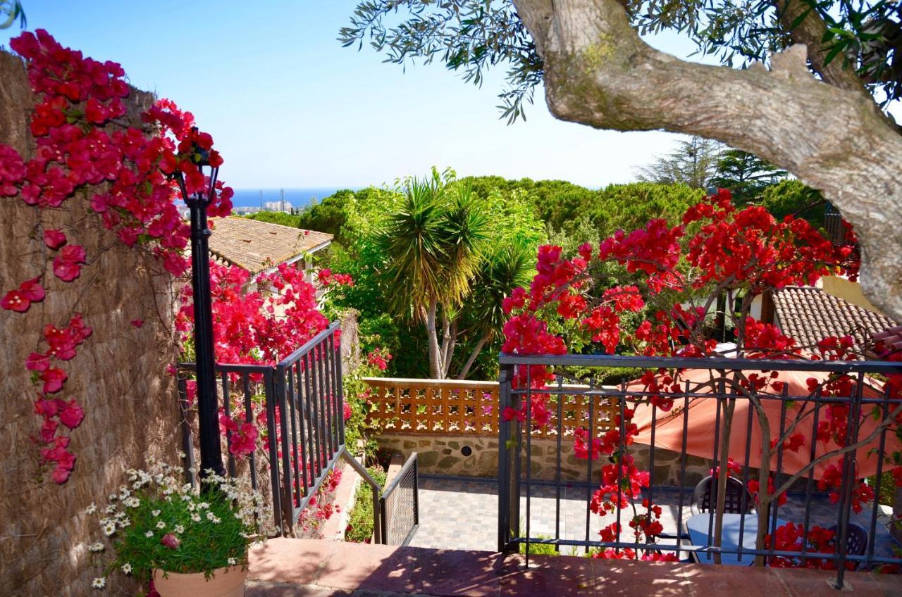 Arts House - Cabrils, Maresme, Barcelonaアパートメント エクステリア 写真