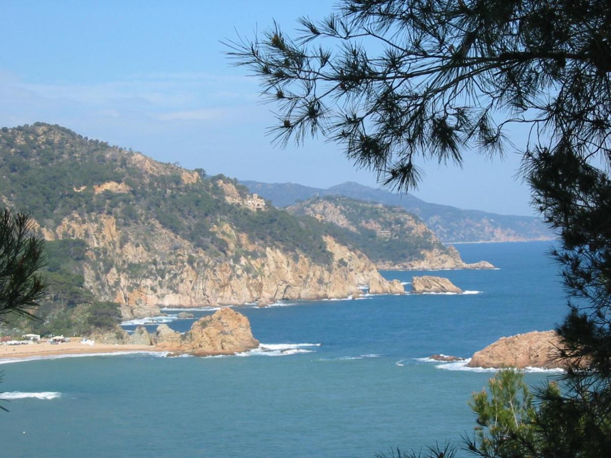 Arts House - Cabrils, Maresme, Barcelonaアパートメント エクステリア 写真